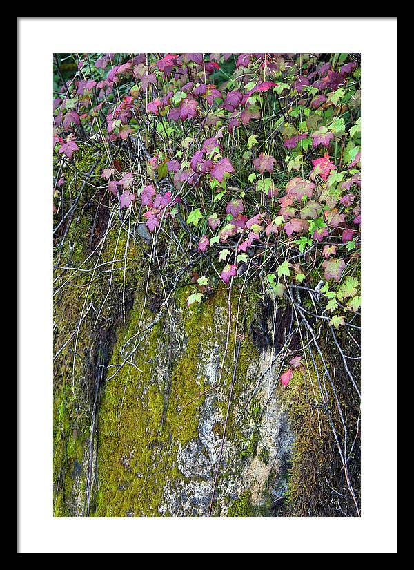 Neon Leaves No 2 - Framed Print