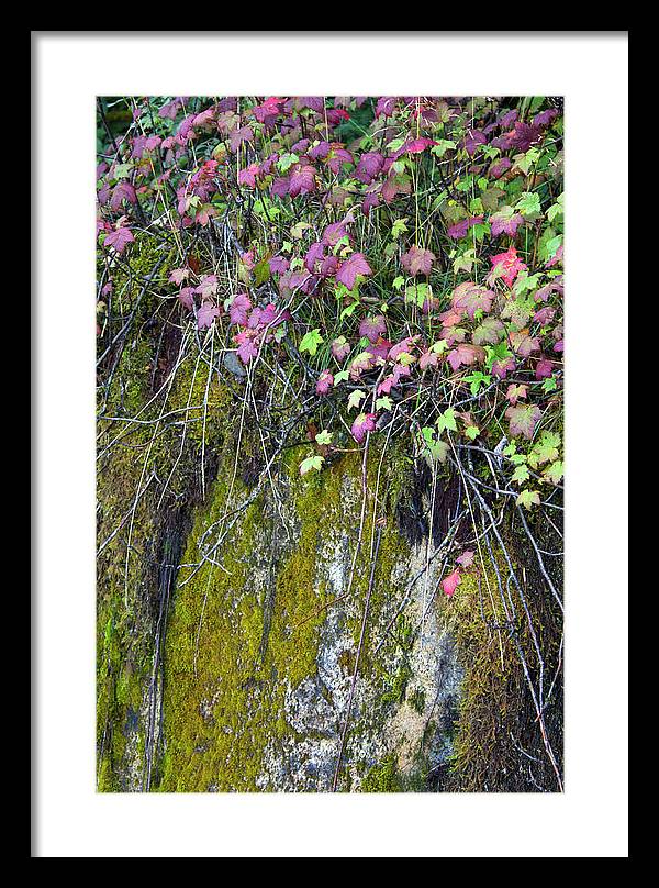 Neon Leaves No 2 - Framed Print