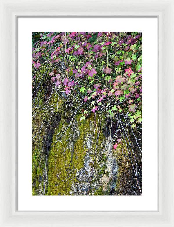 Neon Leaves No 2 - Framed Print