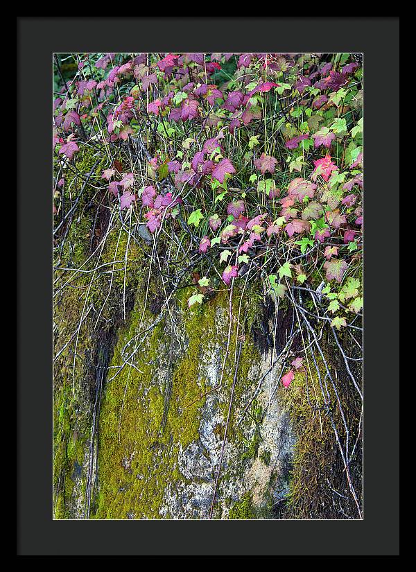 Neon Leaves No 2 - Framed Print