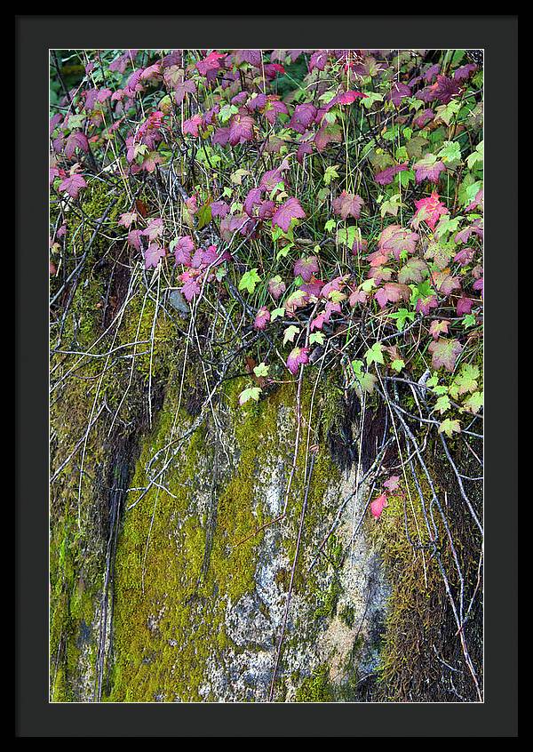 Neon Leaves No 2 - Framed Print