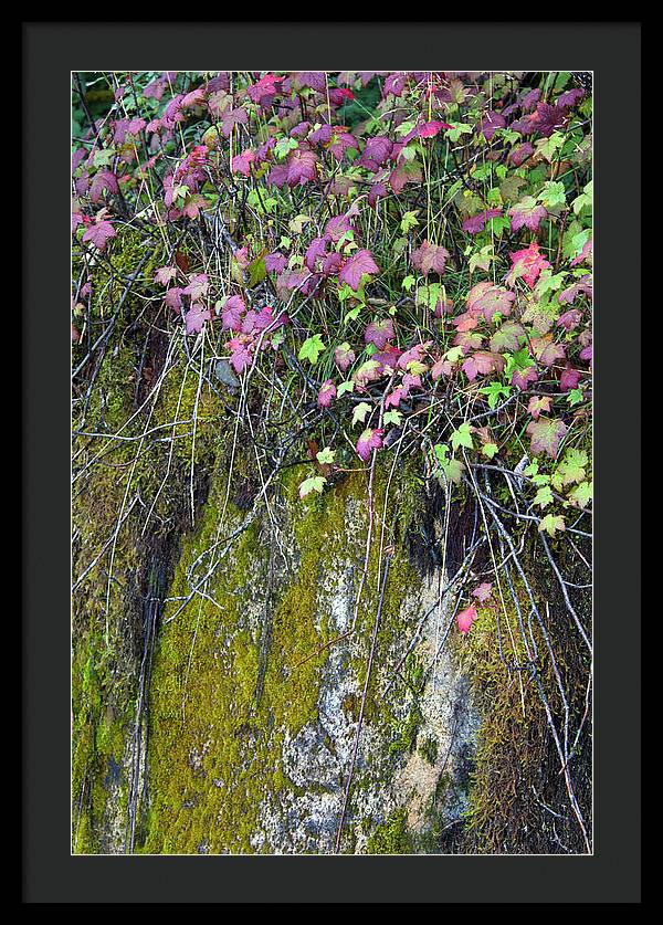 Neon Leaves No 2 - Framed Print