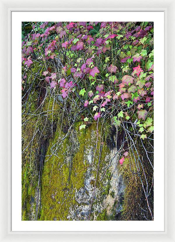 Neon Leaves No 2 - Framed Print