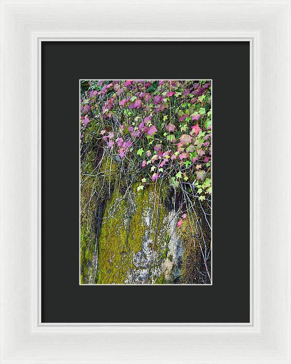 Neon Leaves No 2 - Framed Print