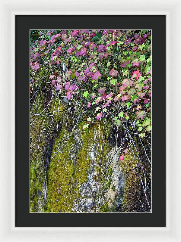 Neon Leaves No 2 - Framed Print