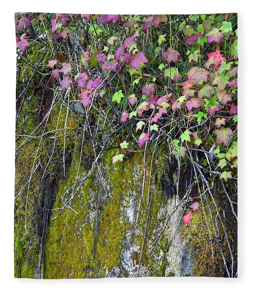 Neon Leaves No 2 - Blanket