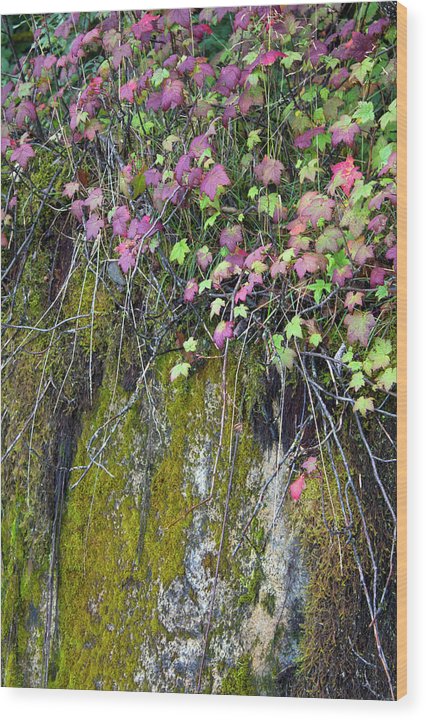 Neon Leaves No 2 - Wood Print