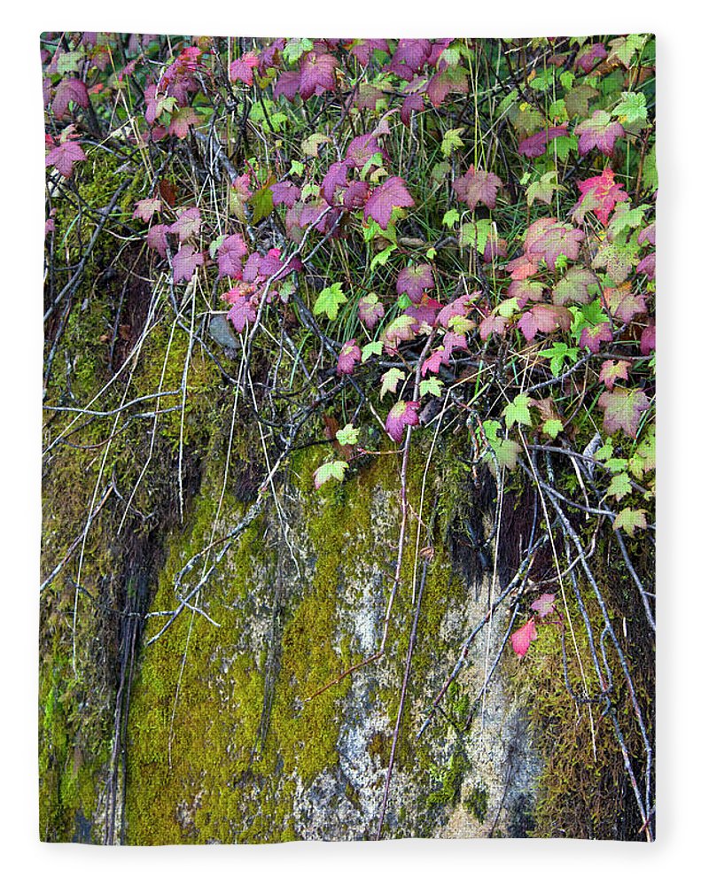 Neon Leaves No 2 - Blanket