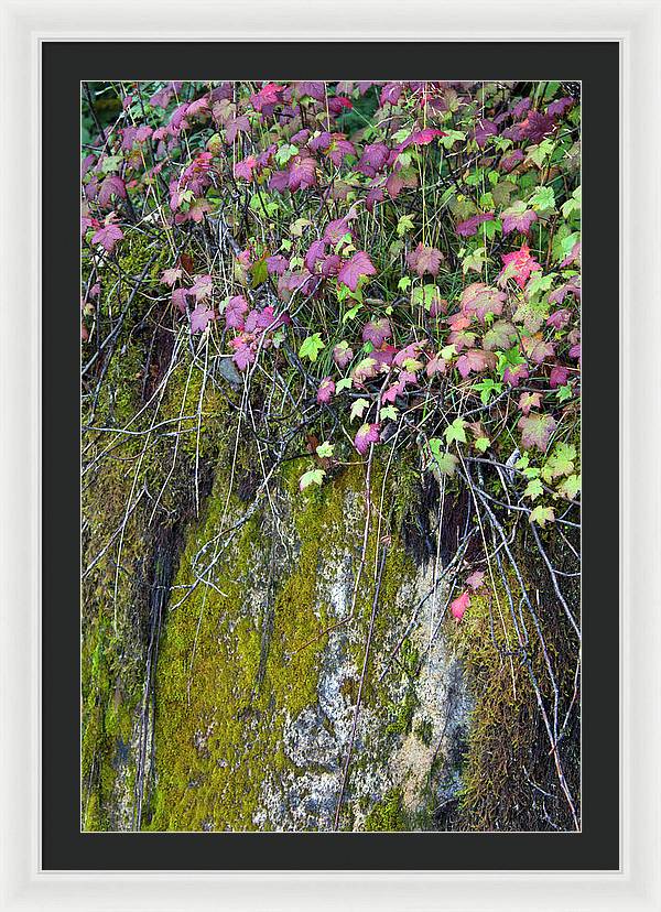 Neon Leaves No 2 - Framed Print