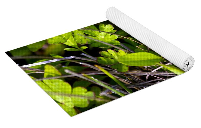 Red Tipped Clover - Yoga Mat