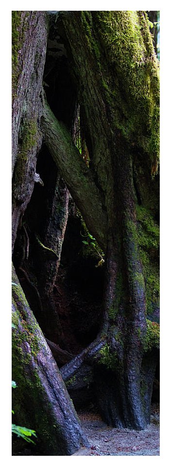 Root Lattice - Yoga Mat