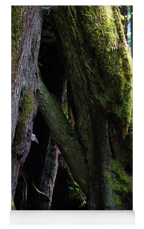 Root Lattice - Yoga Mat