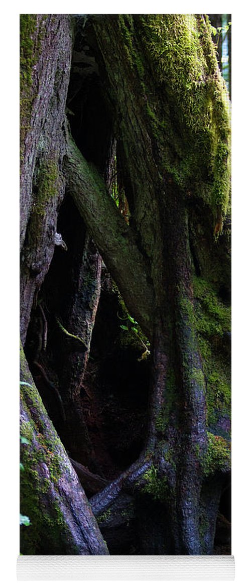 Root Lattice - Yoga Mat