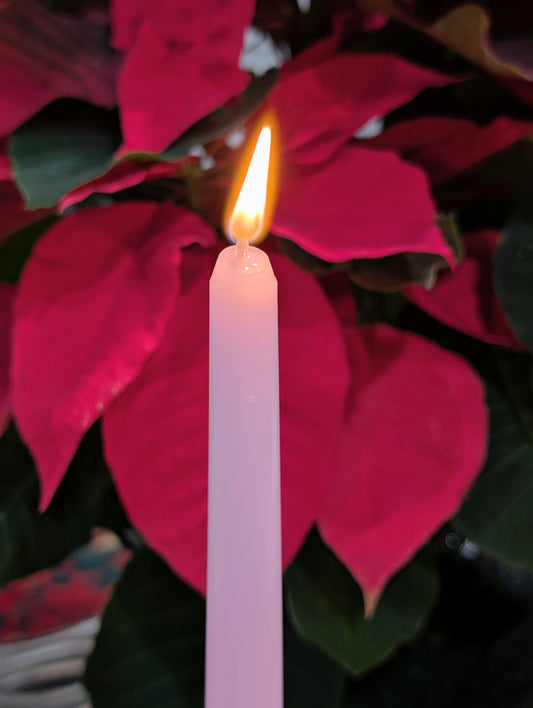 Christmas Countdown: Joy