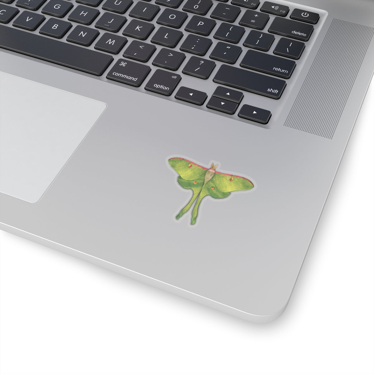 Sticker - Luna Leaves