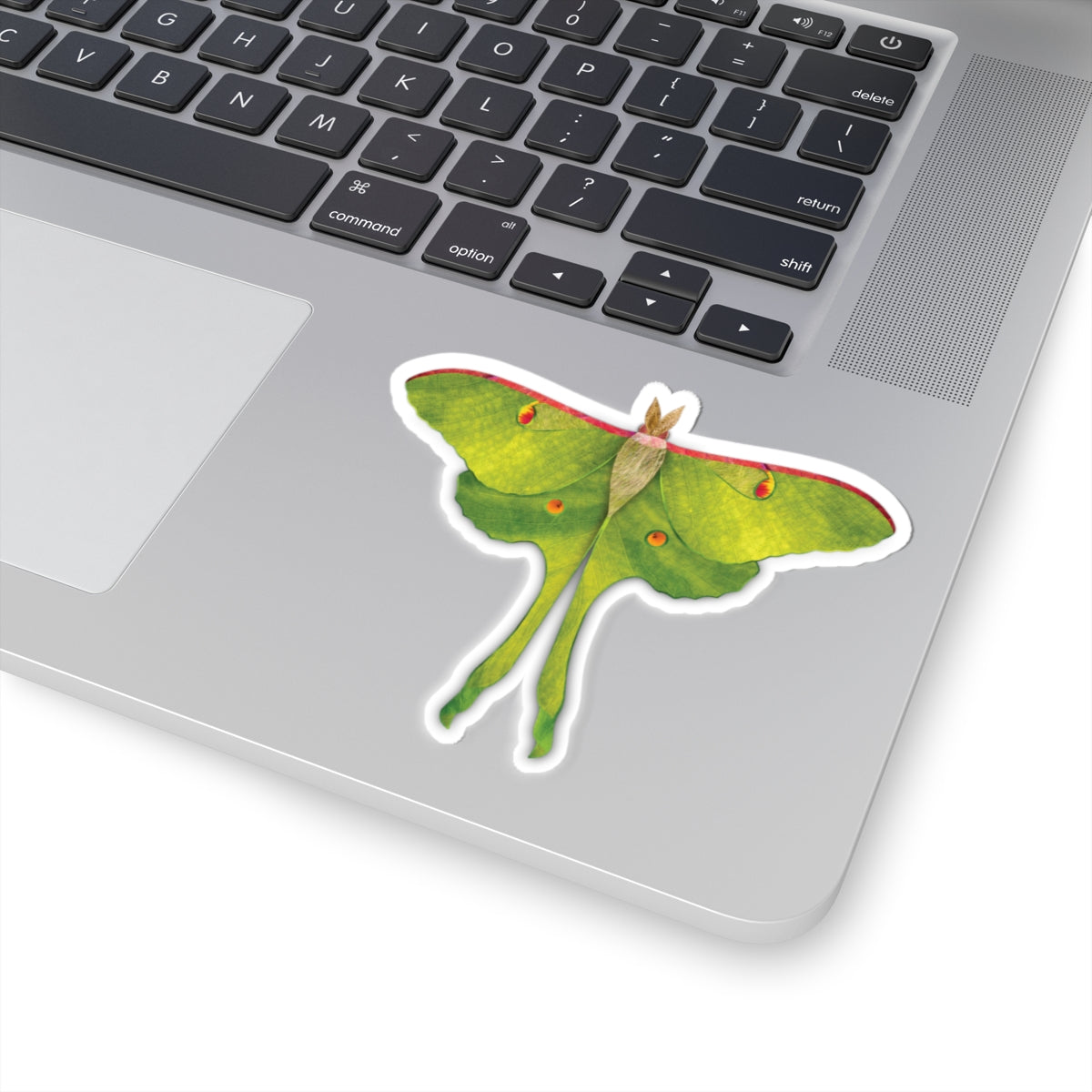 Sticker - Luna Leaves