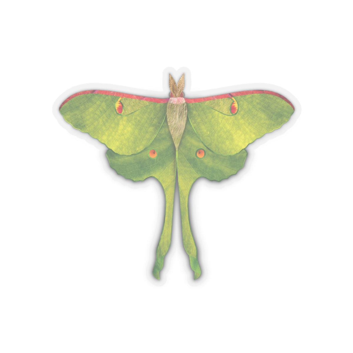 Sticker - Luna Leaves