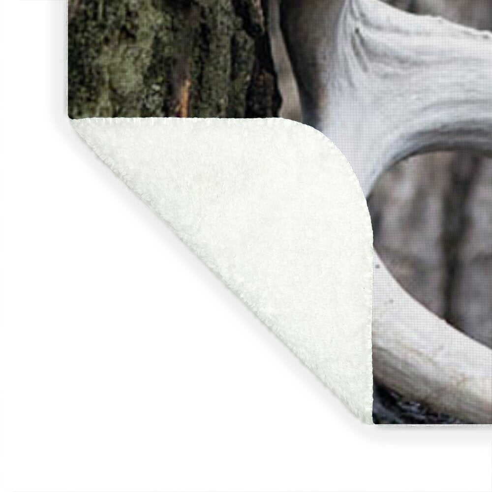 Bone Tree - Blanket
