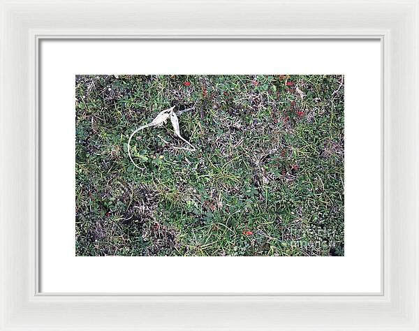 Broken Devil's Horns - Framed Print