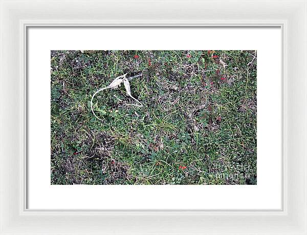 Broken Devil's Horns - Framed Print