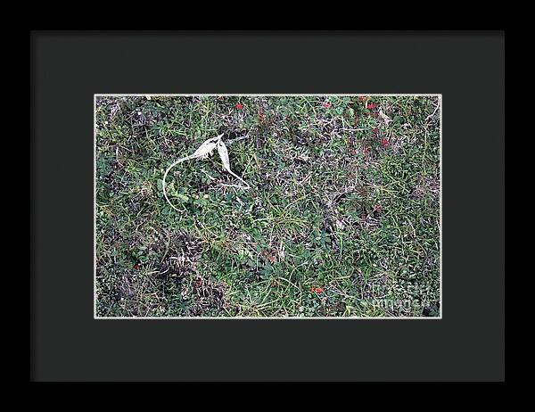 Broken Devil's Horns - Framed Print