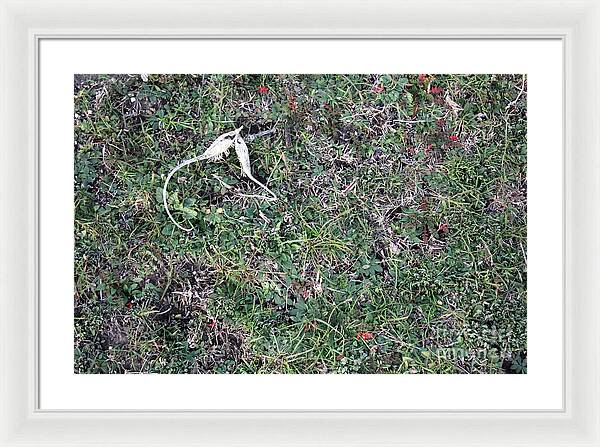 Broken Devil's Horns - Framed Print