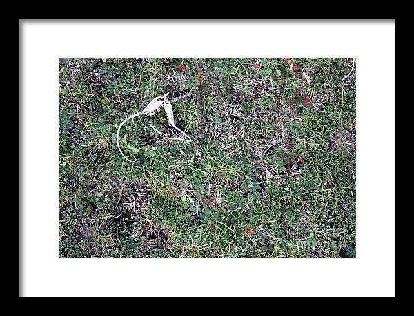 Broken Devil's Horns - Framed Print