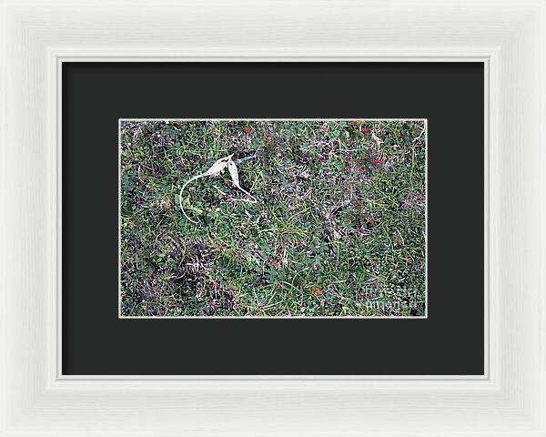 Broken Devil's Horns - Framed Print
