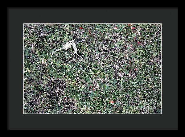 Broken Devil's Horns - Framed Print