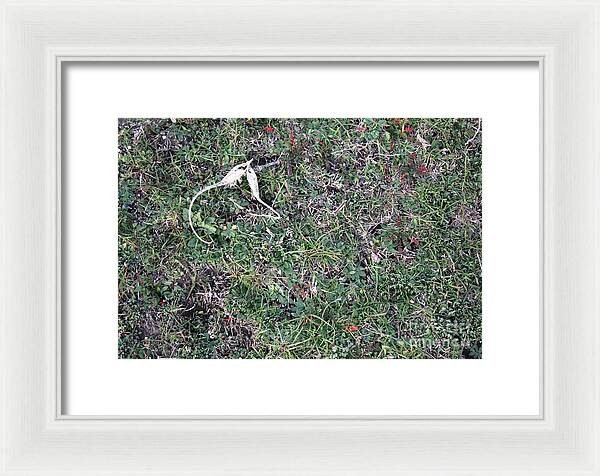 Broken Devil's Horns - Framed Print