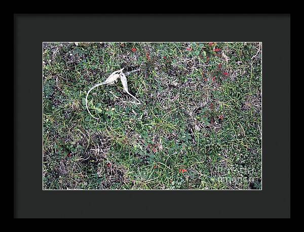 Broken Devil's Horns - Framed Print