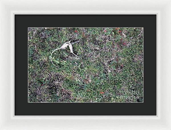 Broken Devil's Horns - Framed Print