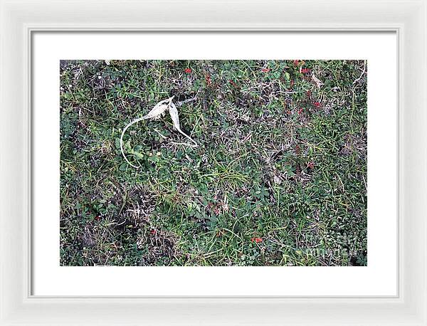 Broken Devil's Horns - Framed Print