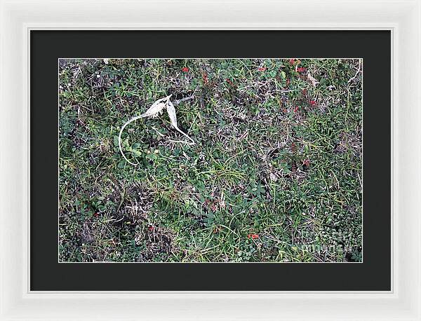 Broken Devil's Horns - Framed Print