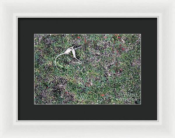 Broken Devil's Horns - Framed Print