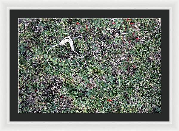 Broken Devil's Horns - Framed Print