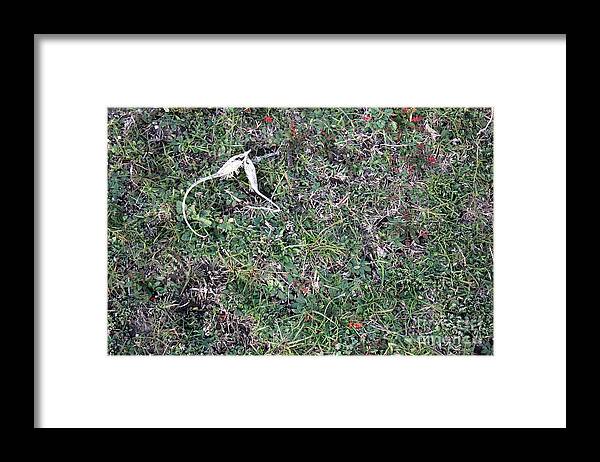 Broken Devil's Horns - Framed Print