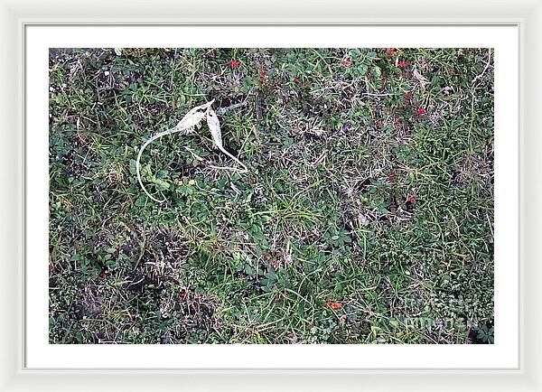 Broken Devil's Horns - Framed Print