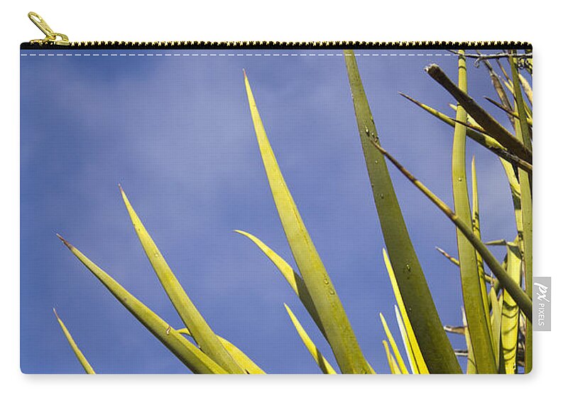 Cactus Colors - Zip Pouch