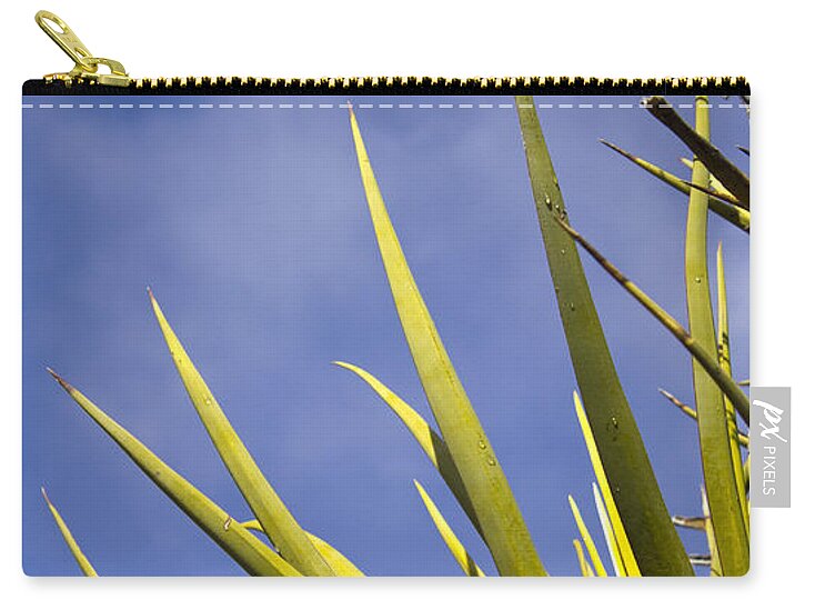 Cactus Colors - Zip Pouch
