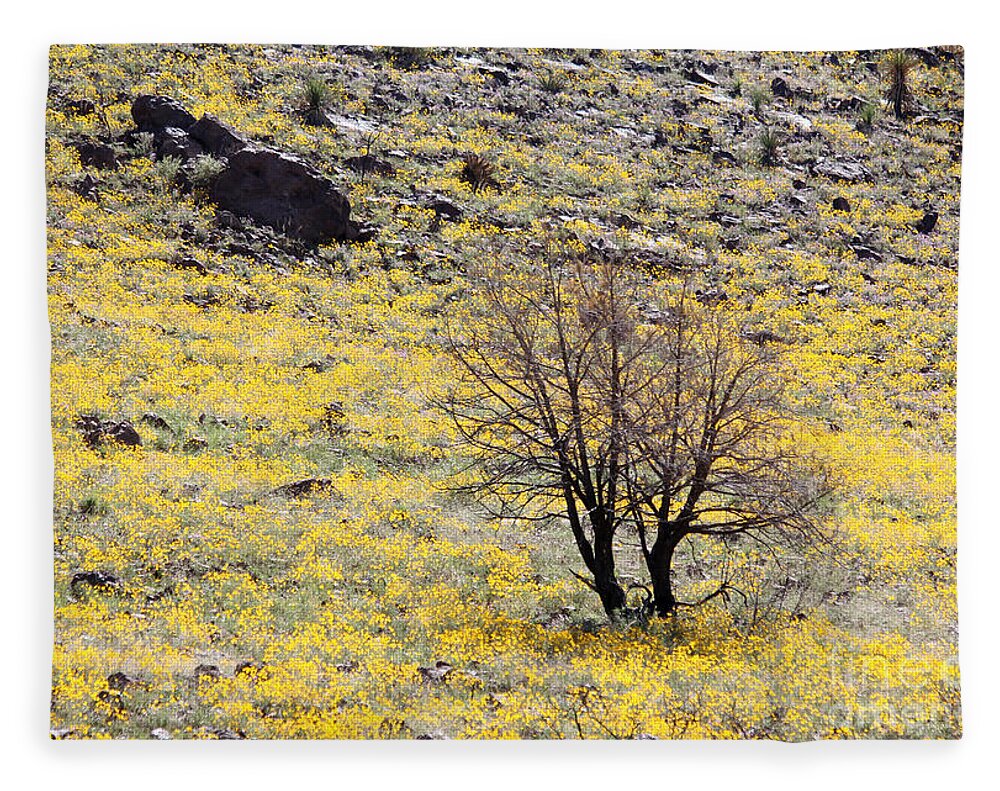 Cloaked in Yellow - Blanket