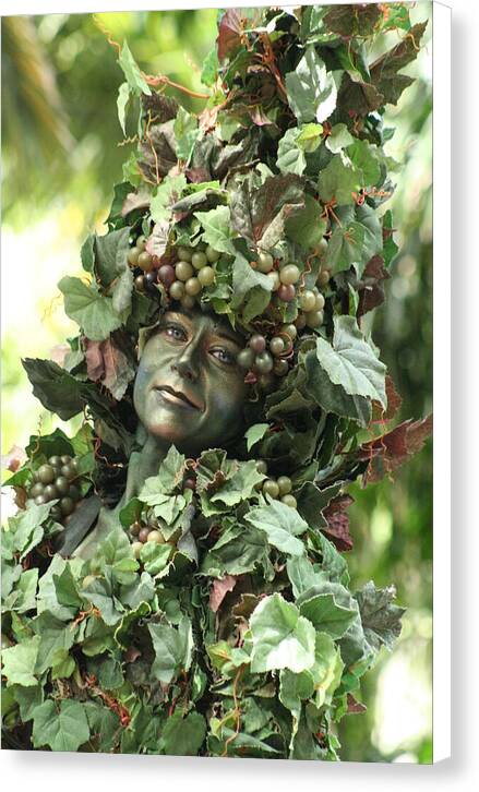 Flora - Canvas Print
