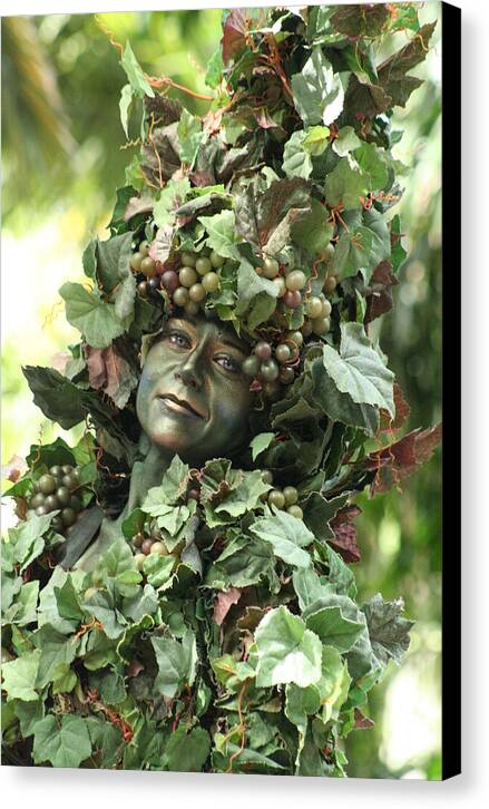Flora - Canvas Print
