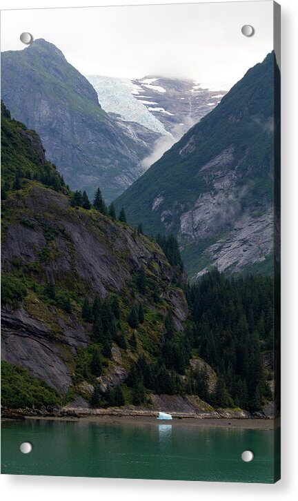 Ice Origins - Acrylic Print