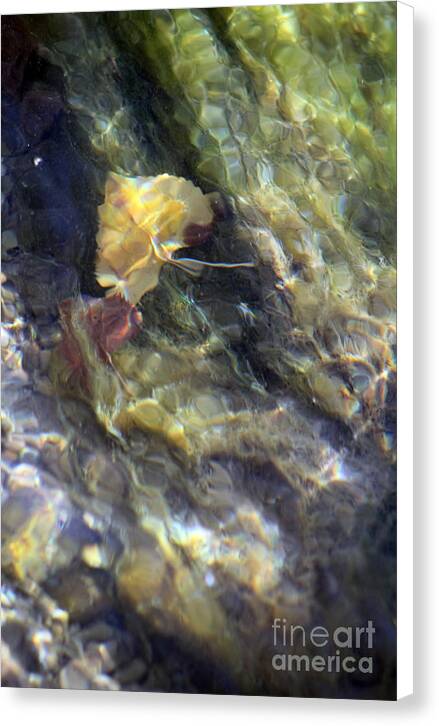 Liquid Leaves 2 - Canvas Print