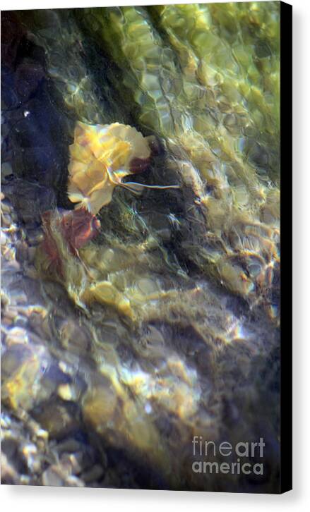 Liquid Leaves 2 - Canvas Print