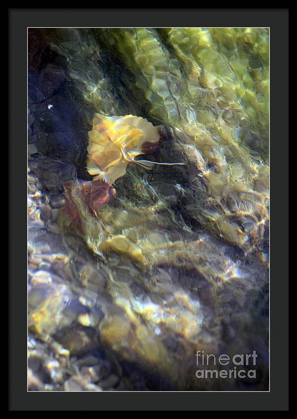 Liquid Leaves 2 - Framed Print