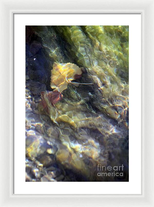 Liquid Leaves 2 - Framed Print