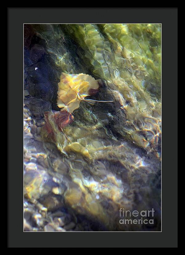 Liquid Leaves 2 - Framed Print
