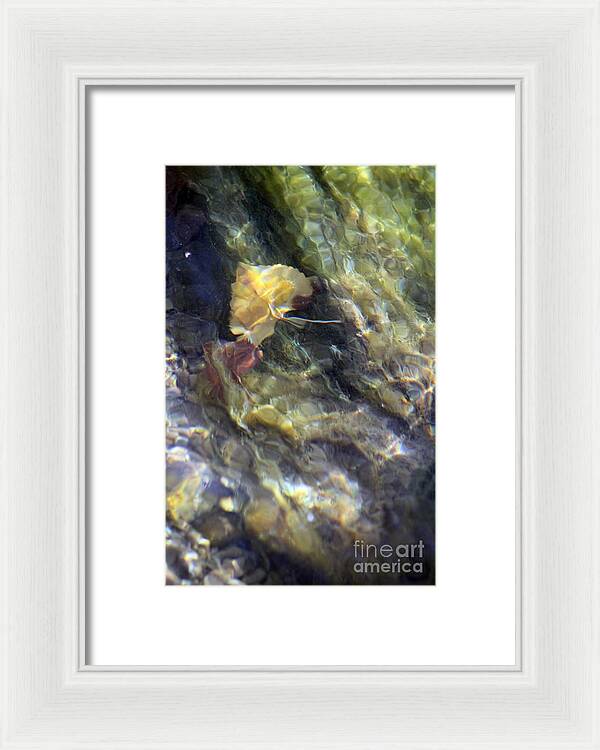 Liquid Leaves 2 - Framed Print